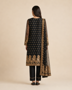 Banarsi Bamber Chiffon two-piece suit product image 2
